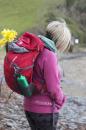Andrea collecting dafs - Helford